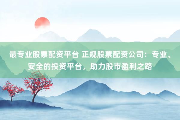 最专业股票配资平台 正规股票配资公司：专业、安全的投资平台，助力股市盈利之路