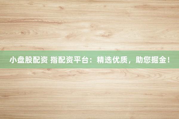 小盘股配资 指配资平台：精选优质，助您掘金！