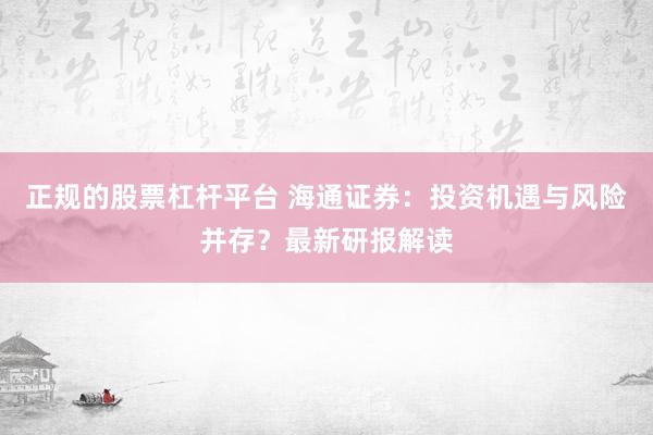 正规的股票杠杆平台 海通证券：投资机遇与风险并存？最新研报解读