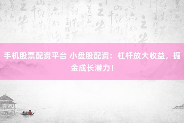 手机股票配资平台 小盘股配资：杠杆放大收益，掘金成长潜力！