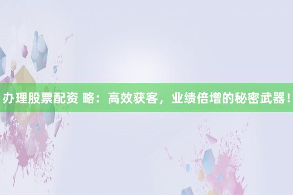 办理股票配资 略：高效获客，业绩倍增的秘密武器！