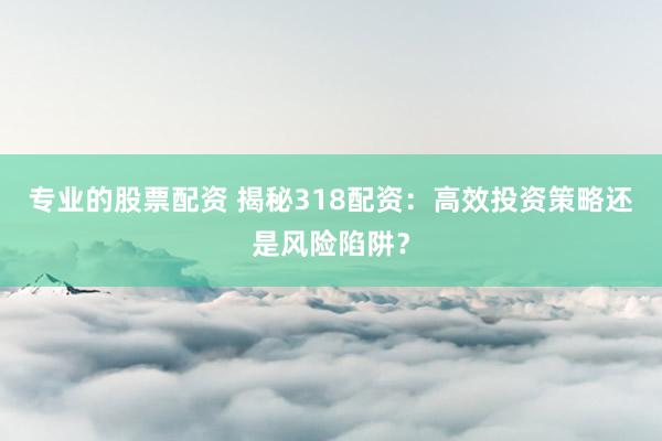 专业的股票配资 揭秘318配资：高效投资策略还是风险陷阱？