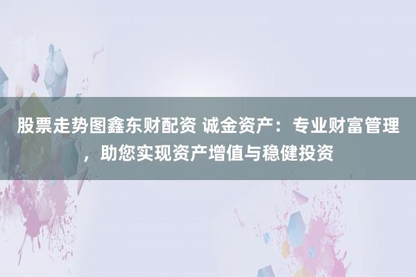 股票走势图鑫东财配资 诚金资产：专业财富管理，助您实现资产增值与稳健投资