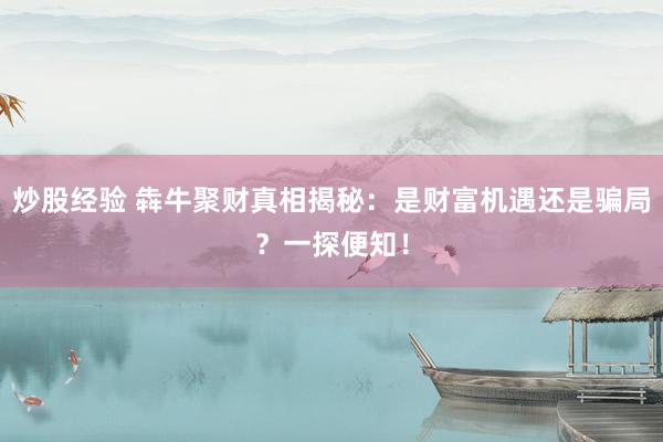 炒股经验 犇牛聚财真相揭秘：是财富机遇还是骗局？一探便知！